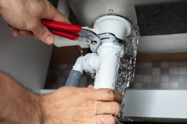 Best Mold removal after water damage  in Silver Lake, OH