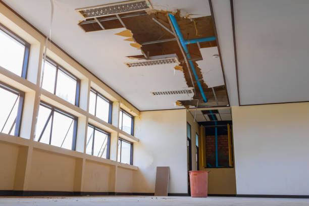 Best Basement water damage restoration  in Silver Lake, OH