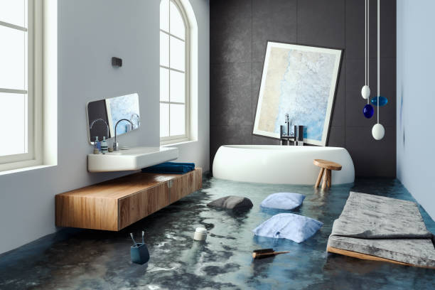 Best Mold removal after water damage  in Silver Lake, OH