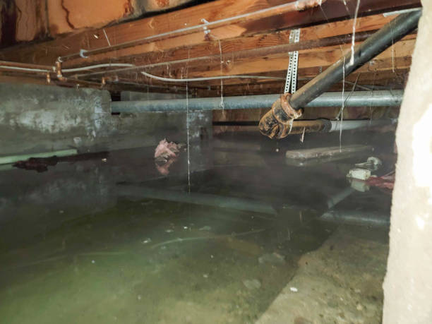 Professional Water damage restoration in Silver Lake, OH
