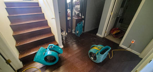 Best Flood restoration services  in Silver Lake, OH