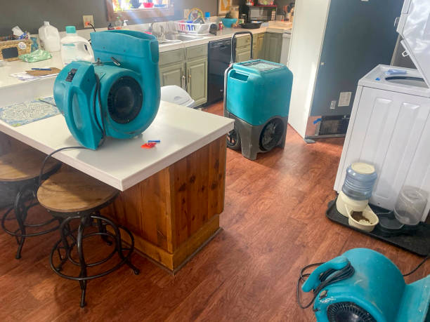 Best Local water damage restoration  in Silver Lake, OH