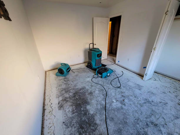 Best Fire Damage Restoration  in Silver Lake, OH
