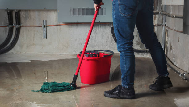 Best Water damage contractors near me  in Silver Lake, OH