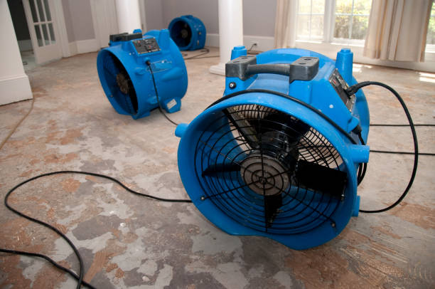 Best Water damage restoration services  in Silver Lake, OH