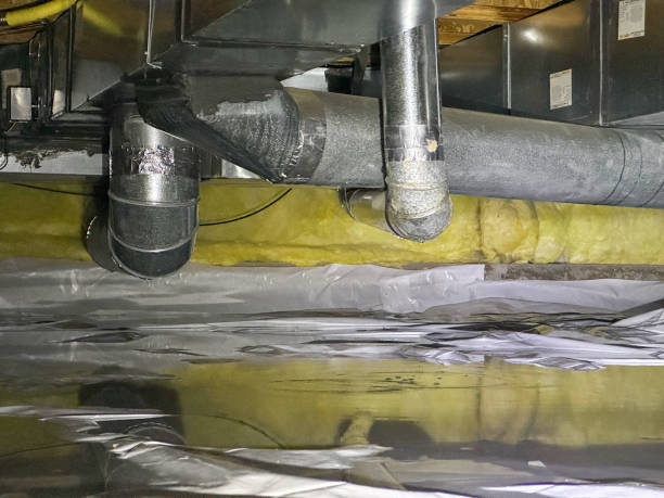Best Water damage contractors near me  in Silver Lake, OH