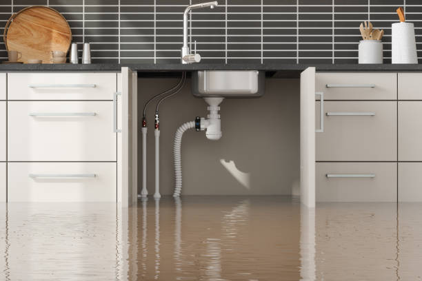Best Professional water damage repair  in Silver Lake, OH