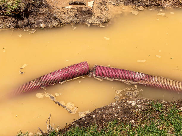 Best Water damage restoration experts  in Silver Lake, OH