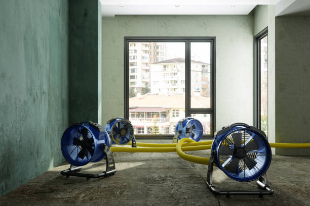 Best Commercial water damage restoration  in Silver Lake, OH