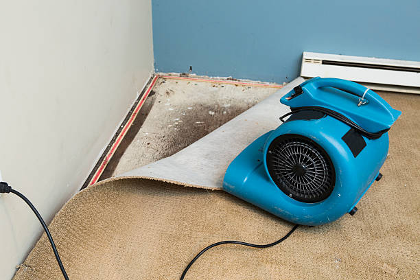 Best Water damage mitigation services  in Silver Lake, OH